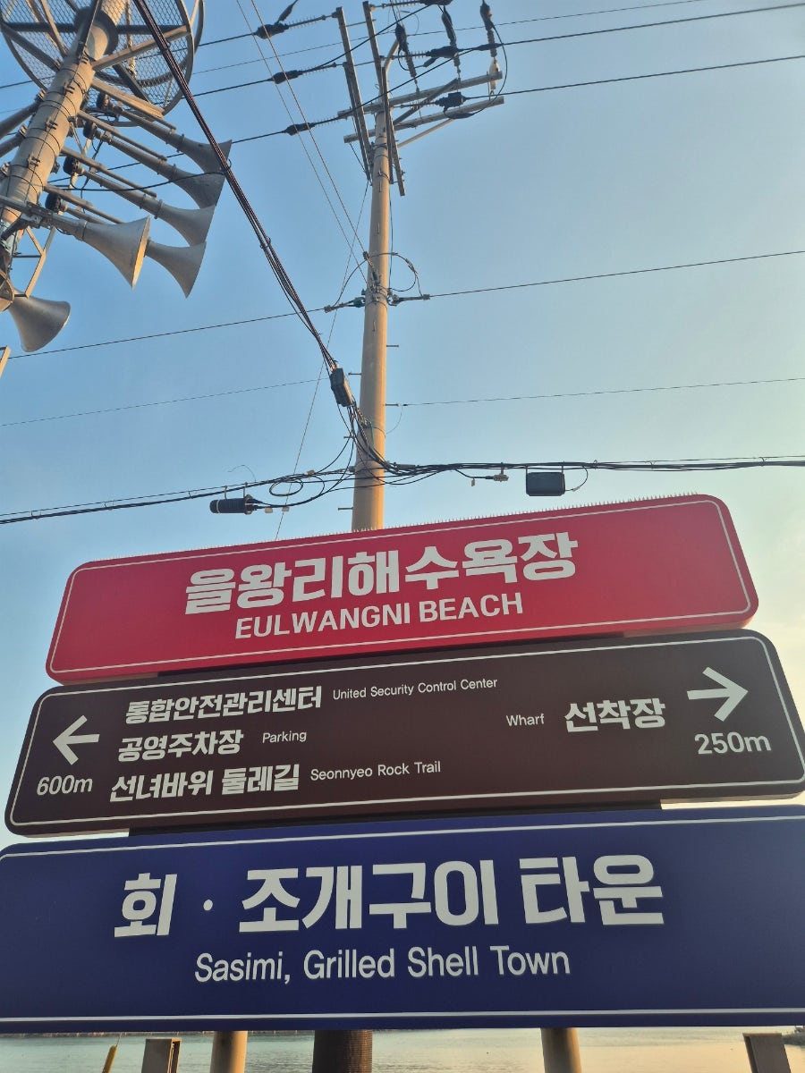 보길도 사진 3