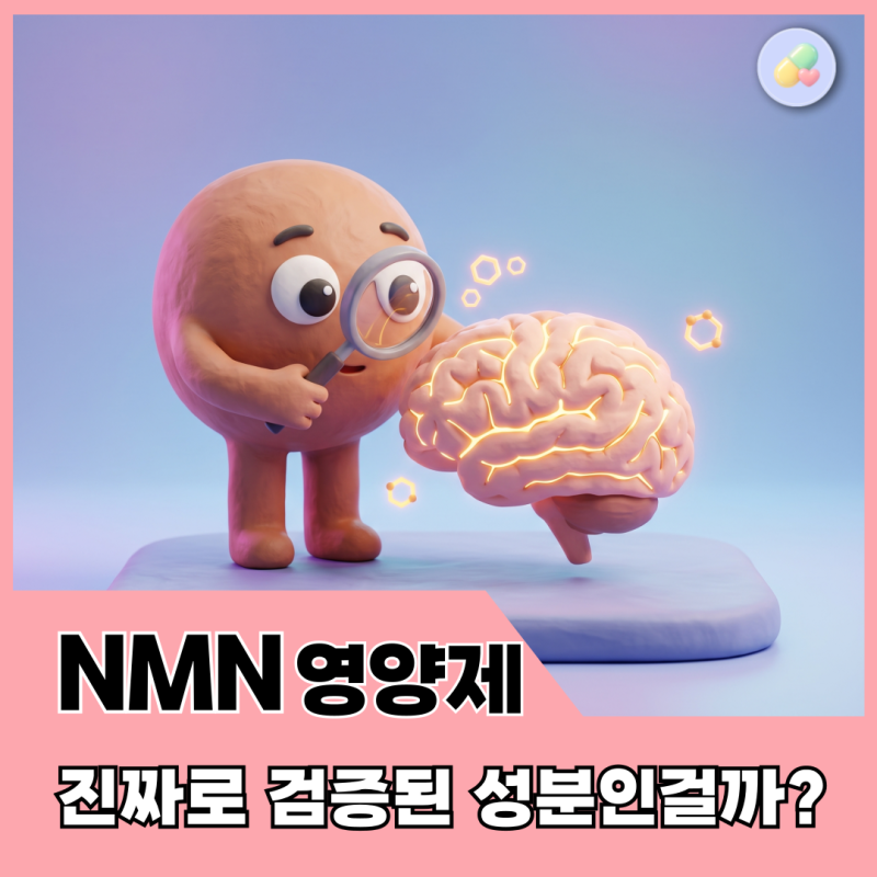 NMN 노화 영양제, 기억력에 진짜 도움 될까? 약사가 보는 기준