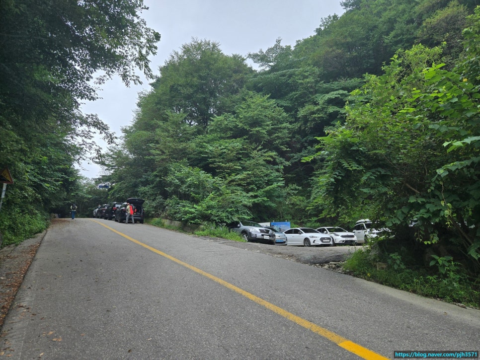 부용가든 사진 6