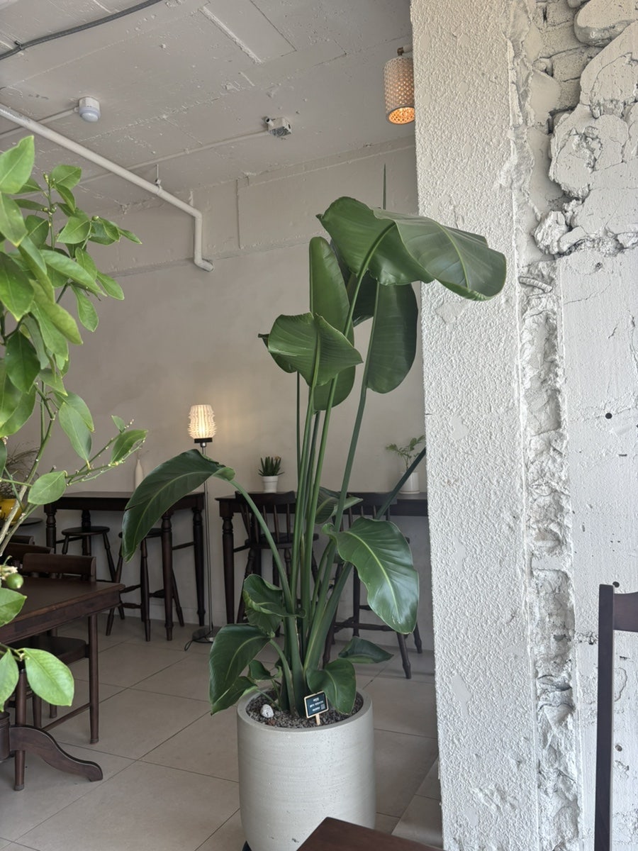 밀노트 사진 5