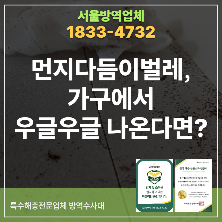 먼지다듬이벌레, 가구에서 우글우글 나온다면?