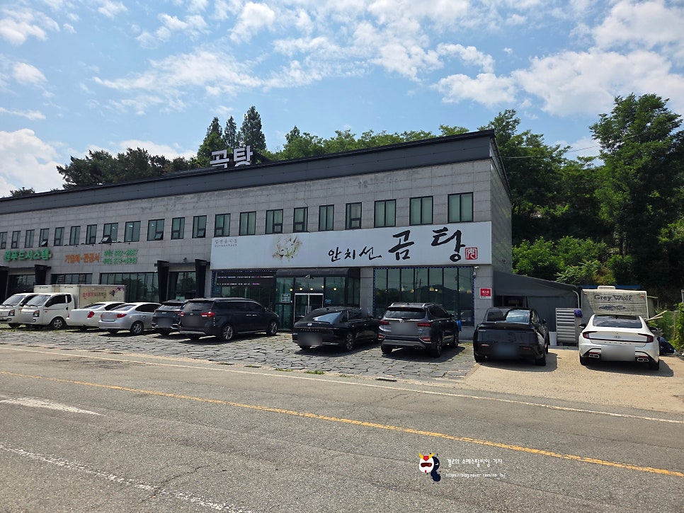안치선곰탕 사진 2