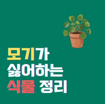 모기가 싫어하는 식물에는 어떤 것이 있나요