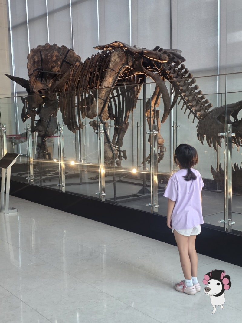 유방암 의정부을지대학교병원 1인실 상주보호자 후기
