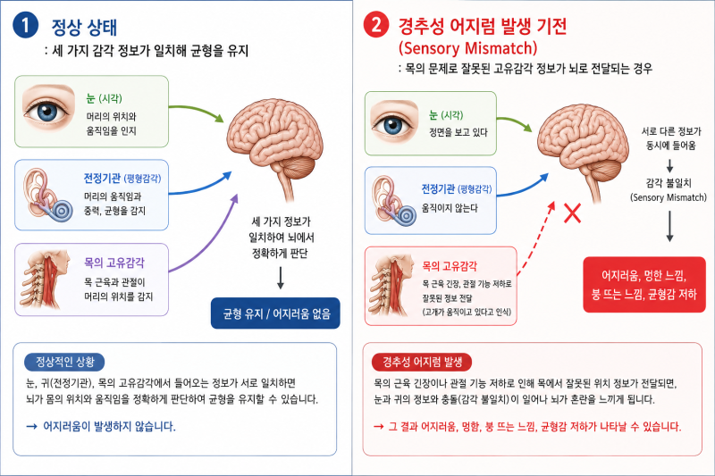 목이 아프면 왜 어지러울까요? 경추성 두통과 어지러움의 원인 | 부산 우리신경외과