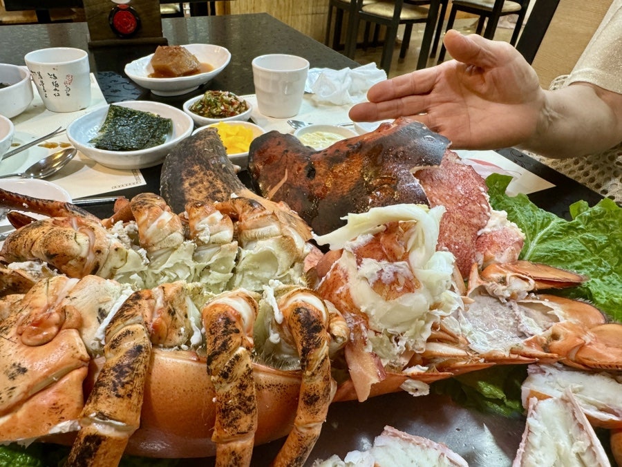 바다목장바닷가재 사진 5