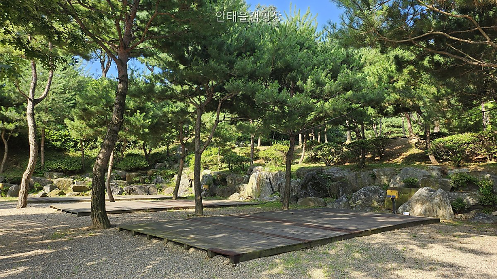 안태울캠핑장 사진 2