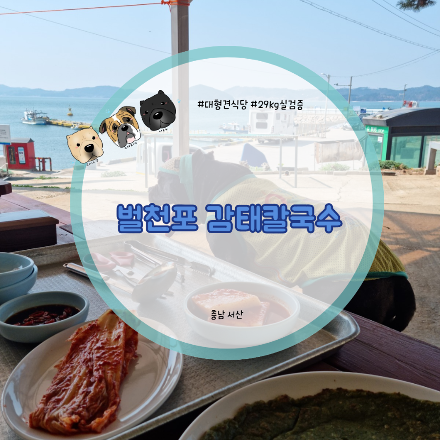선창감태칼국수 사진 1