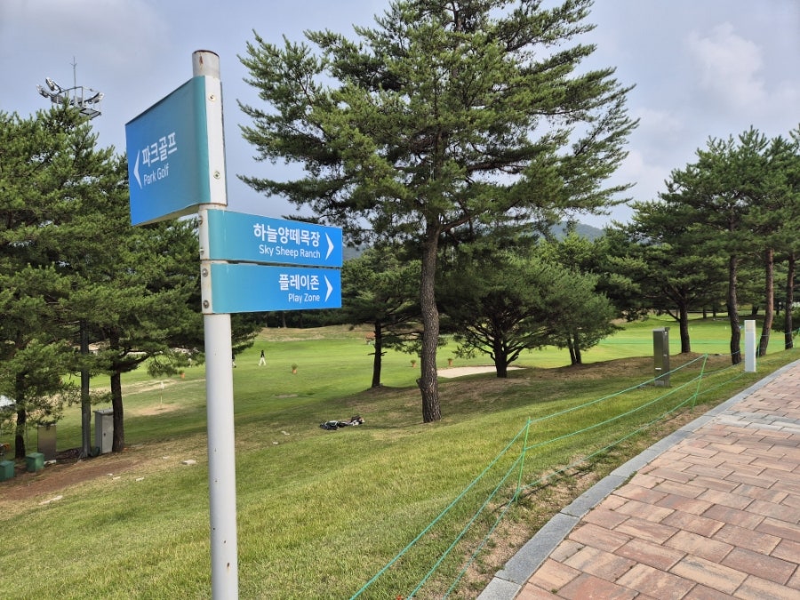 매봉산 사진 5