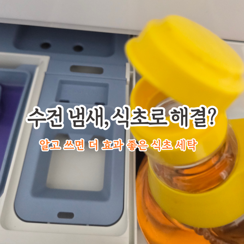 섬유유연제 대신 식초? 장점과 단점, 올바른 사용법 정리