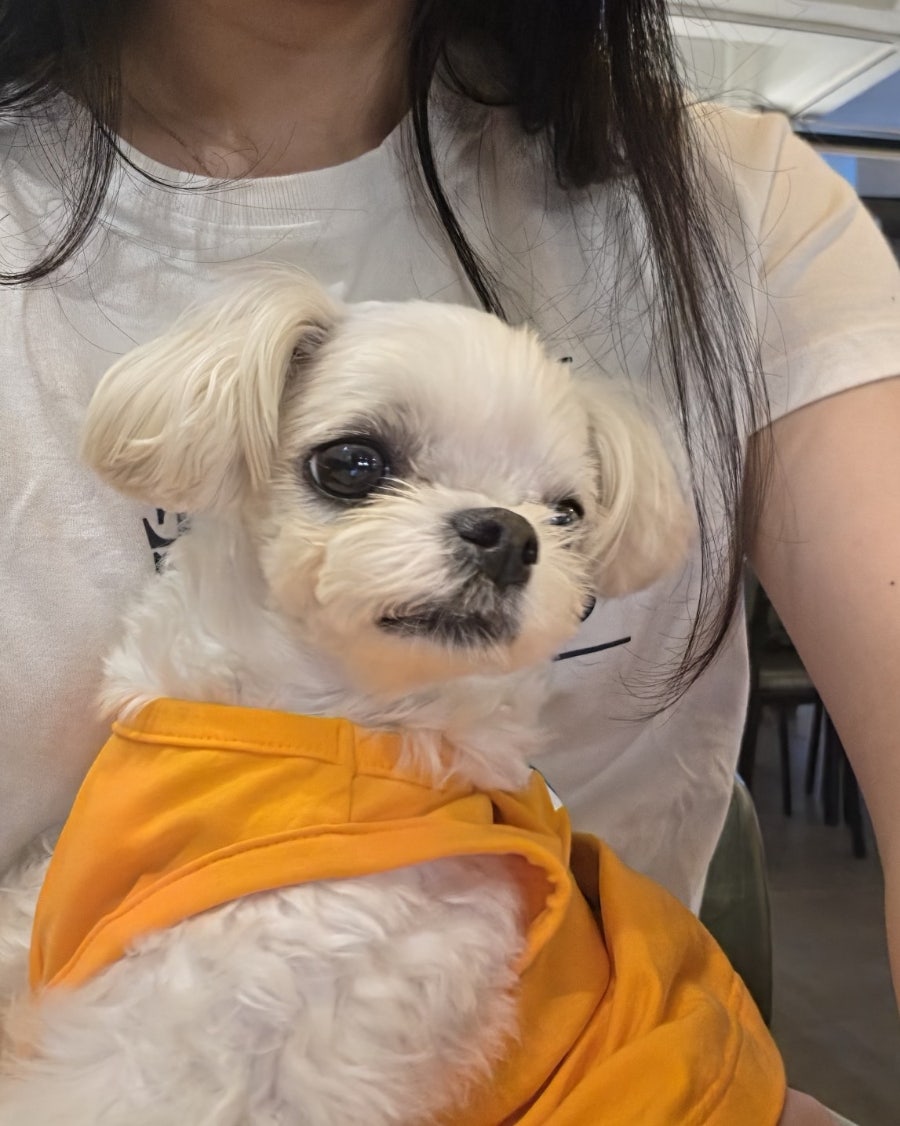 탐라식탁 사진 6