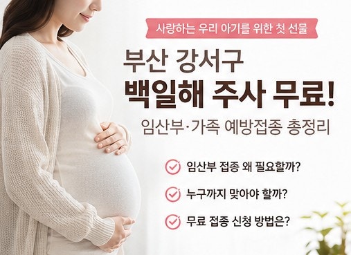 부산 강서구 백일해 예방접종 무료, 임산부·배우자 꼭 맞아야 하는 이유