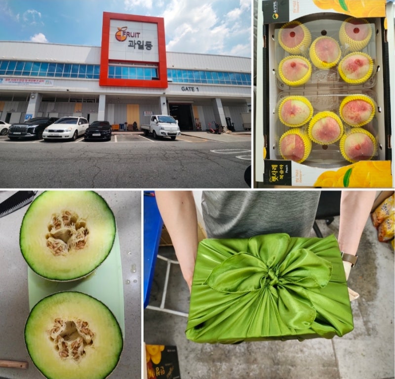 [수원농수산물시장] 임산부 아내를 위한 신선한 제철 과일 메론 수박 복숭아까지 맛있던 명....