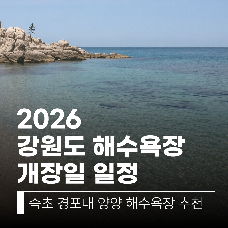 2026 강원도 해수욕장 개장일 일정 속초 경포대 양양 해수욕장 추천