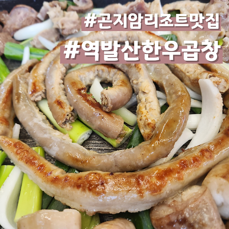 역발산한우곱창 사진 1