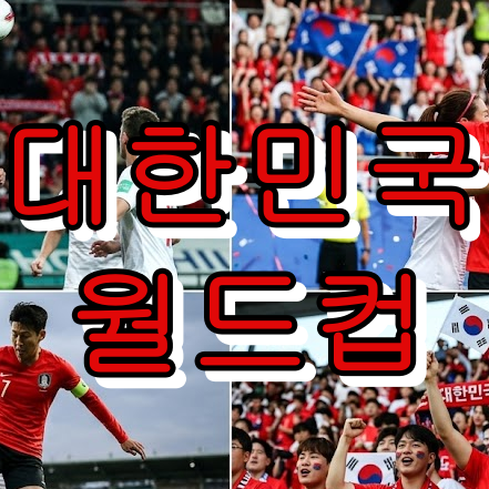 대한민국 월드컵 도전사! 감동의 순간과 역대 최고 성적 분석