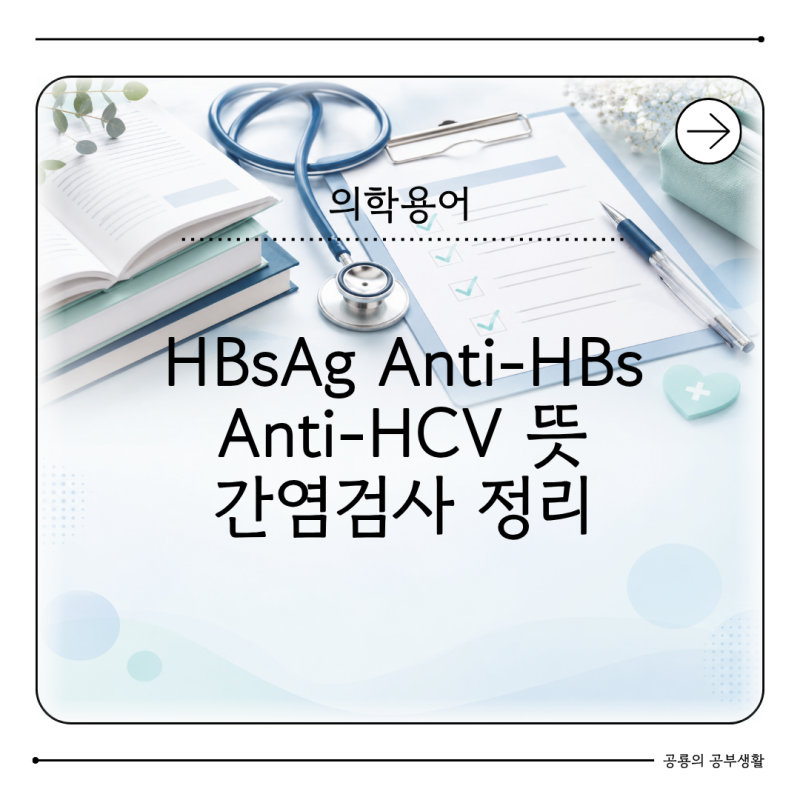 HBsAg Anti-HBs Anti-HCV 뜻 무엇일까? B형 C형 간염검사 정리