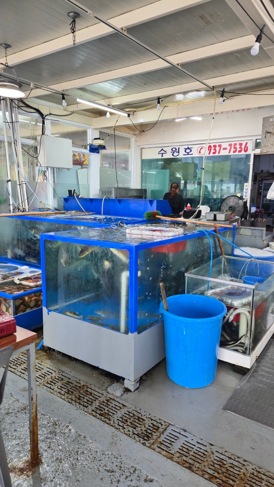 수원호 사진 4