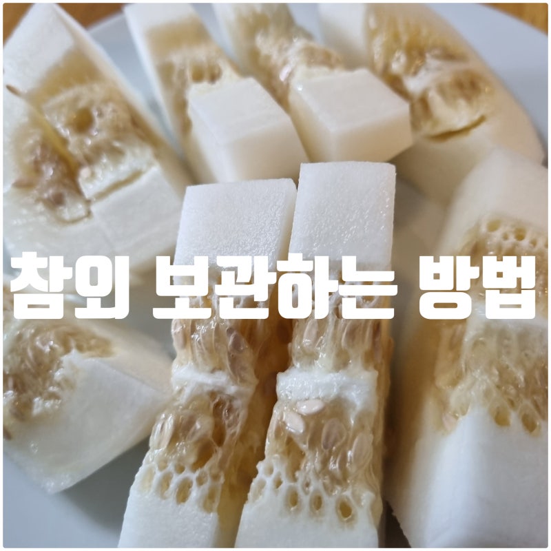 참외 보관법 냉장보관부터 실온보관까지 신선하게 오래 먹는 방법