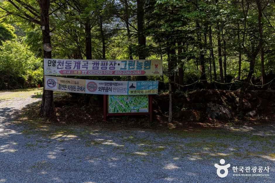 그린농원 사진 6