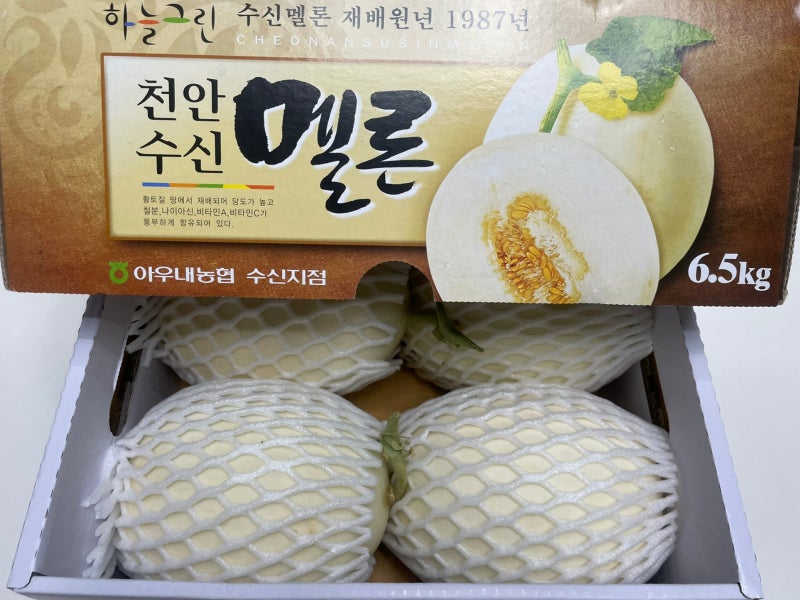[과일] 천안 수신멜론 선물 후기 | 후숙부터 보관까지 먹어본 솔직 후기