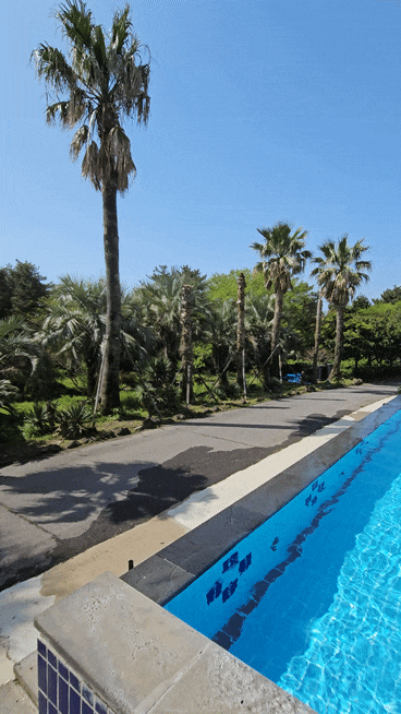 Jeju IVE Resort: Honest 3-Night Review, Highly Recommended Seogwipo Pool Accommodation with Great Value