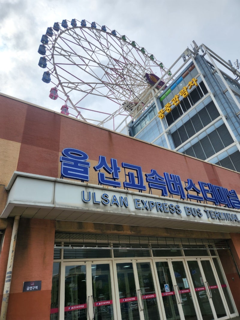 울산 고속버스터미널 시간표 운행노선 예매 정보