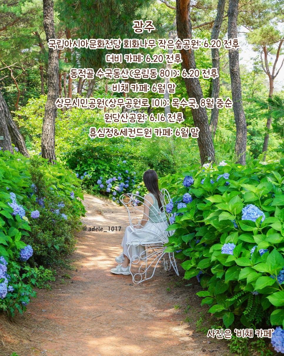 작은숲 사진 4