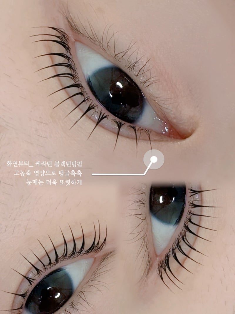 블랙틴팅펌 / 블랙틴트펌 차이, 같은 시술일까?