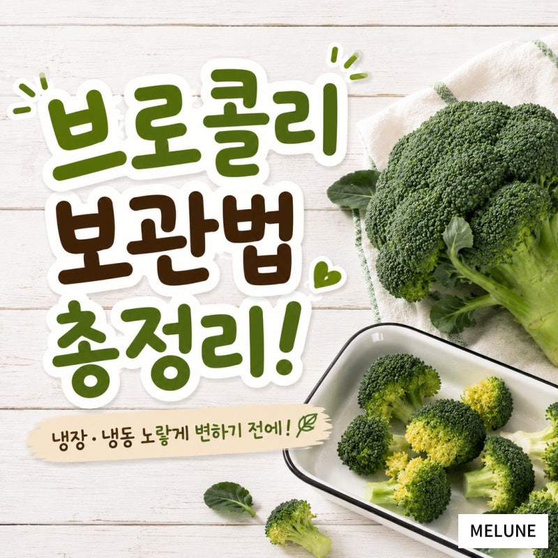 브로콜리 보관기간 늘리는 냉장·냉동 보관법 | 노랗게 변하는 이유까지