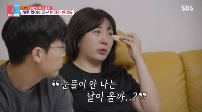 허안나 "17살 강아지·16살 고양이 하루 차이 이별"…한 달간 눈물만 흘린 펫로스 고백 ('동상....