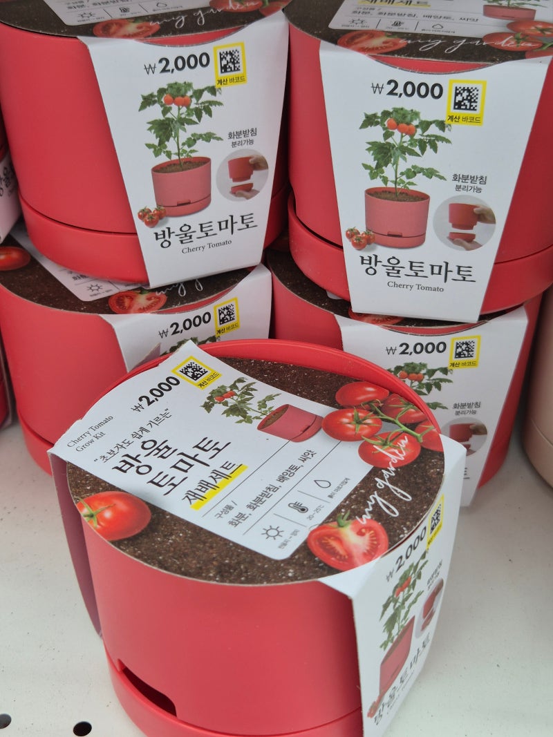 다이소 화분선반 및 화분받침대 종류 베란다 정리 꿀템 추천