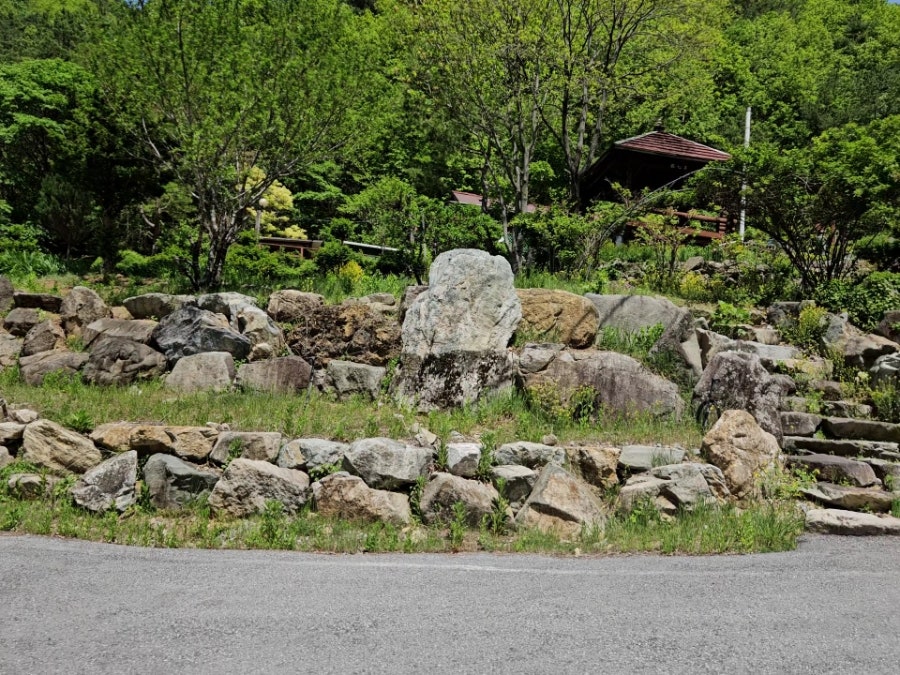 약초산방 사진 5