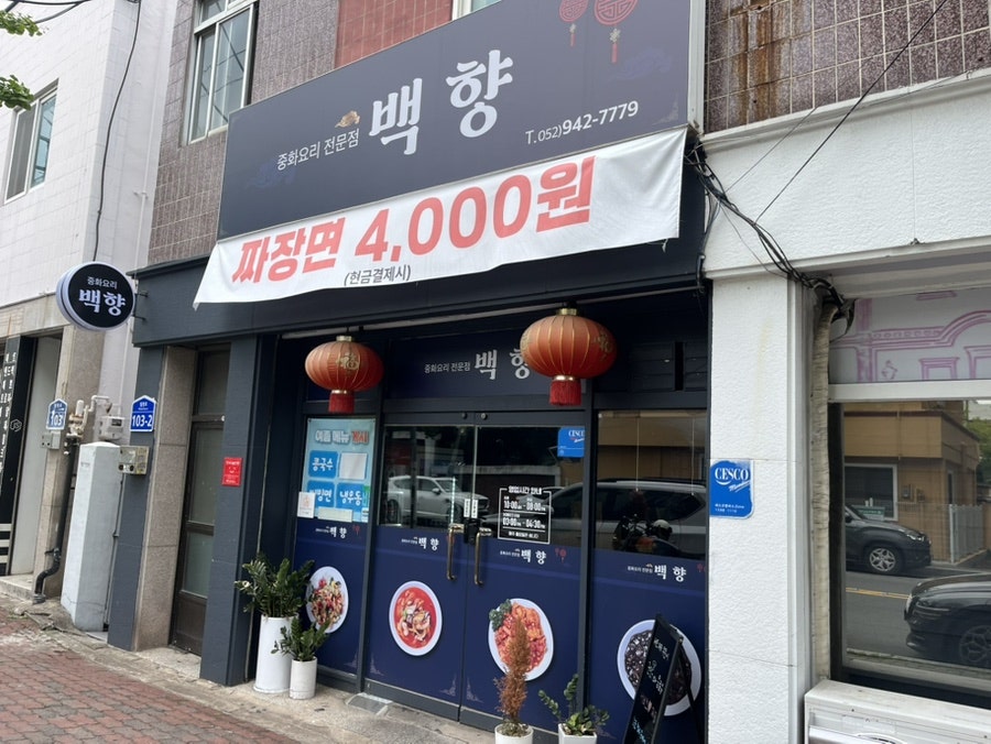 백향 사진 3