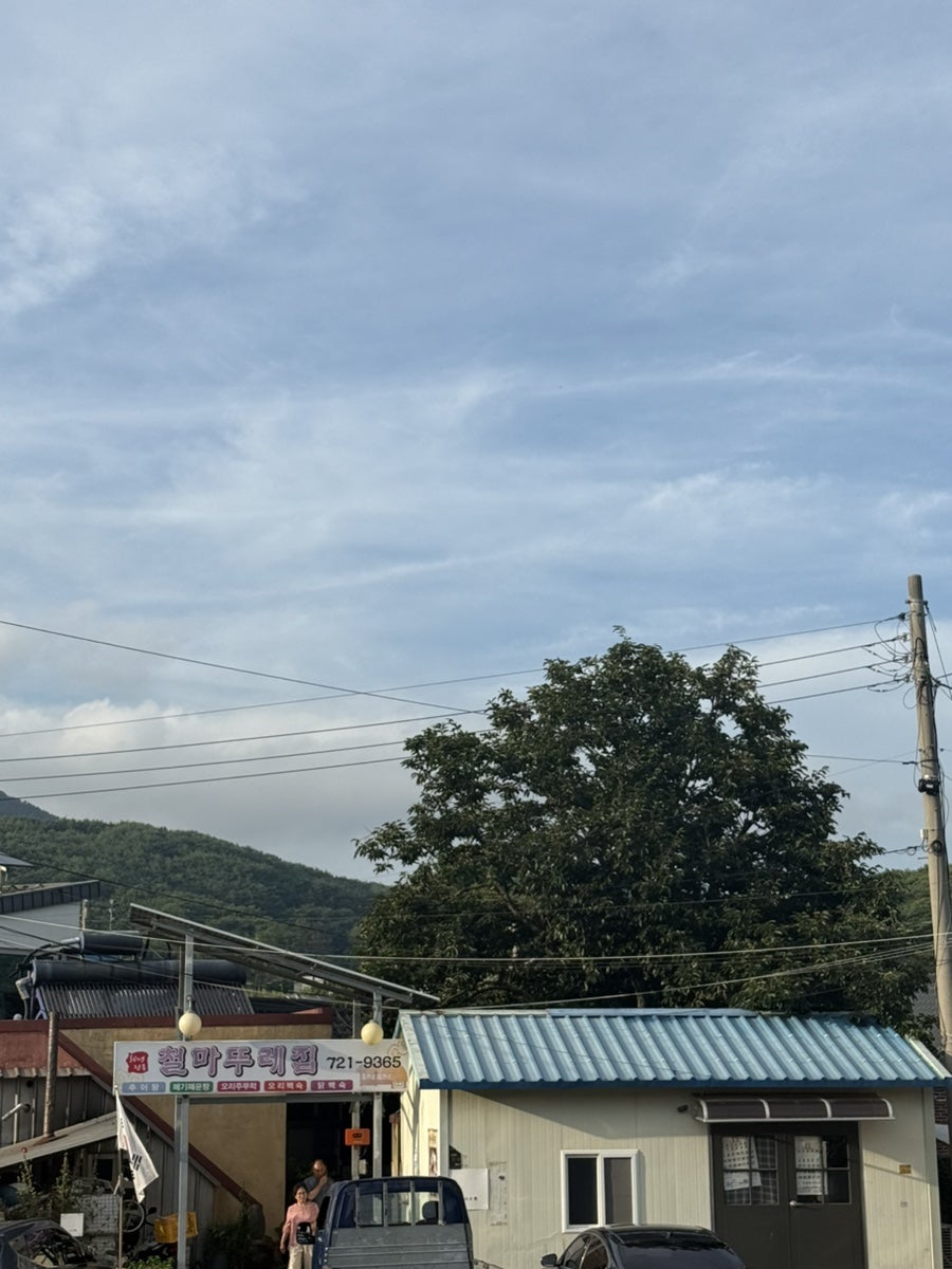 철마뚜레집 사진 2