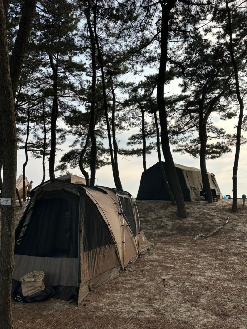 (태안캠핑장후기) 태안 바다드림캠핑장에서 1박2일