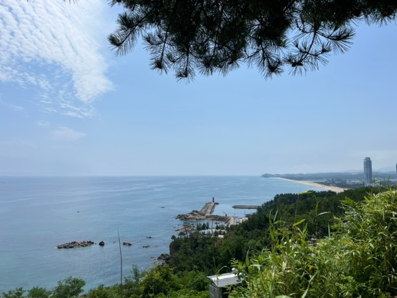 [양양3일]쏘타스위트양양 그랑베이 조식/낙산사(주차장)/양지바른버거&쌀국수 양양본점