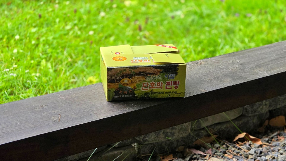 초원의아침 사진 2