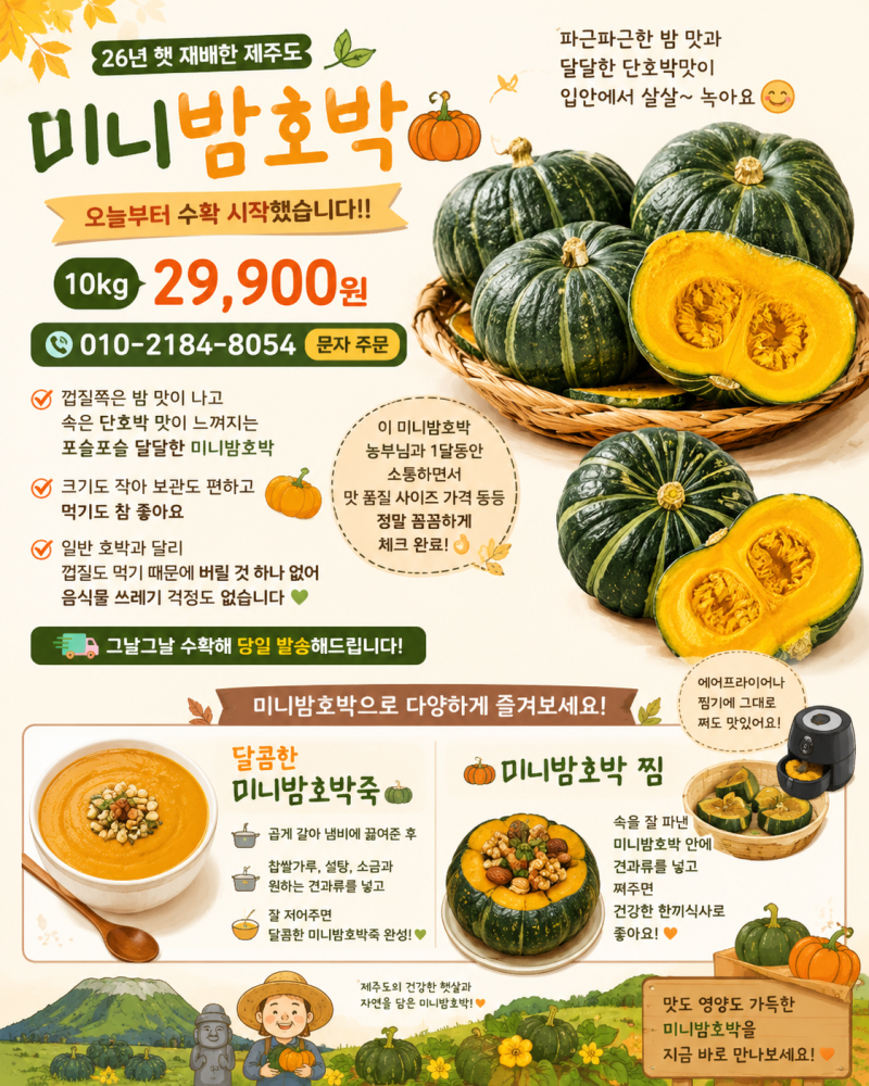 포슬포슬 달콤한 제주 미니밤호박 효능과 맛있게 먹는 방법
