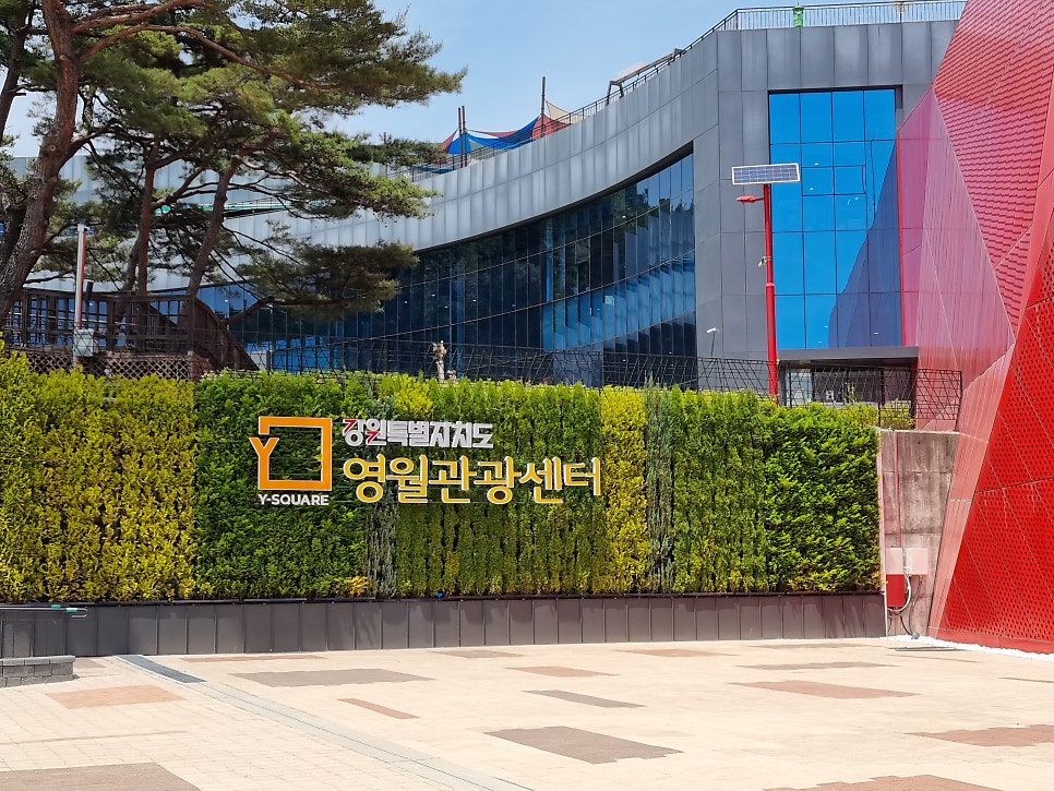 화이통꽃할매 사진 2