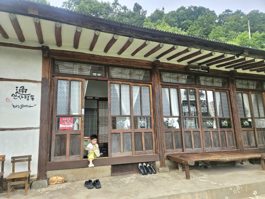 뒤안 사진 2