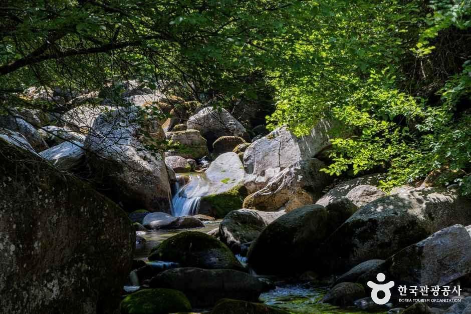 그린농원 사진 5