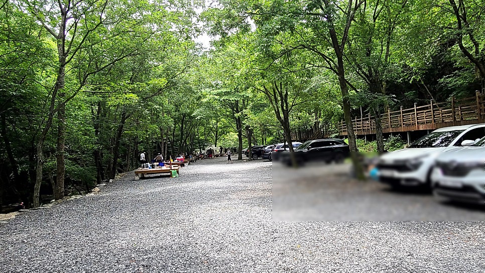 남이 자연휴양림 숲속공연장 사진 3