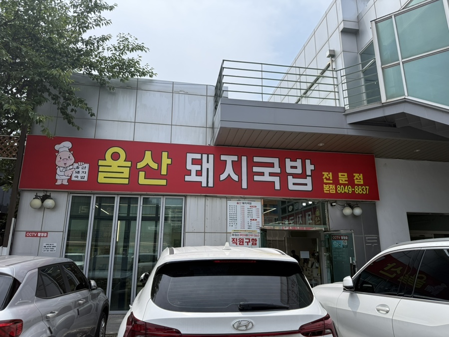 울산돼지국밥 본점 사진 2