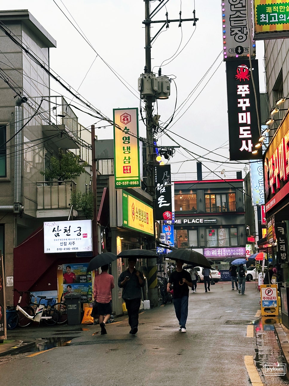 범돈 사진 2