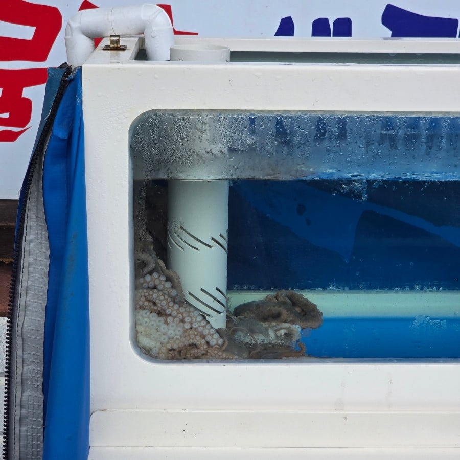오거리 산더미해물탕 사진 2
