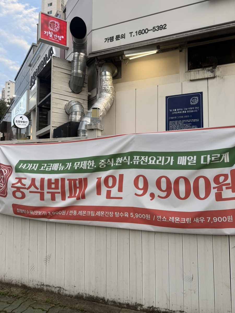 기찰반점 정관점 사진 3