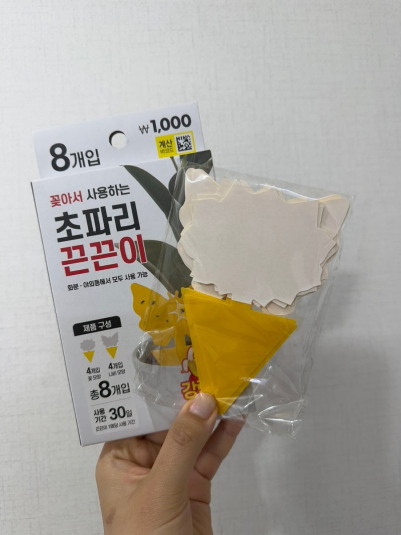 다이소제품 초파리트랩, 초파리 끈끈이 리뷰 [‼️혐오주의]