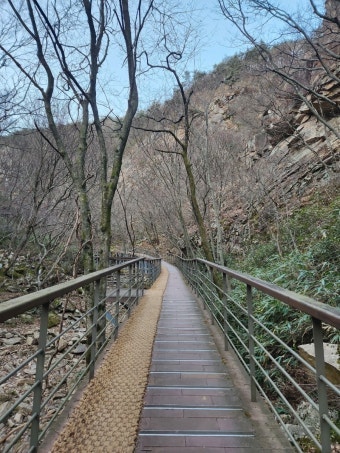 시냇가 사진 5