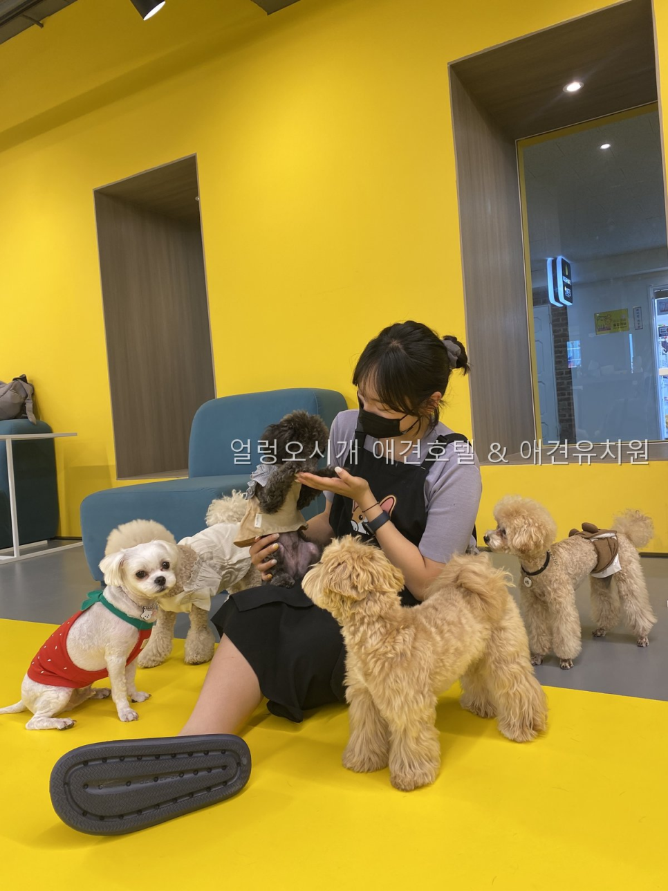얼렁오시개 사진 4